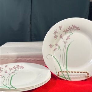Martha Stewart Pink and Green Floral Salad plates